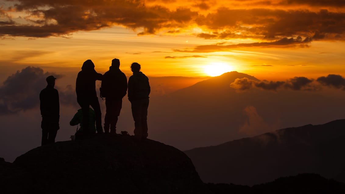 Kilimanjaro