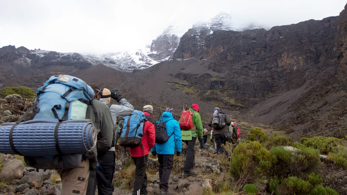 Kilimanjaro Trekking