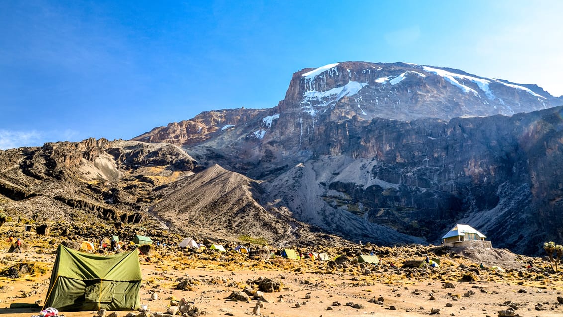 Kilimanjaro Trekking