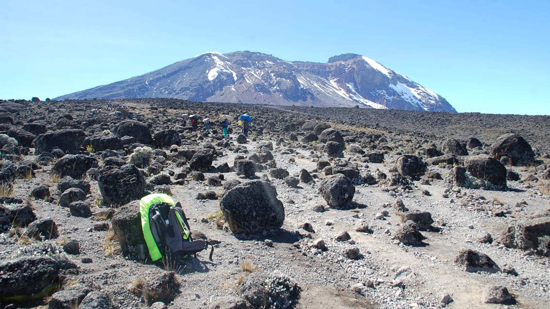 Kilimanjaro Trekking