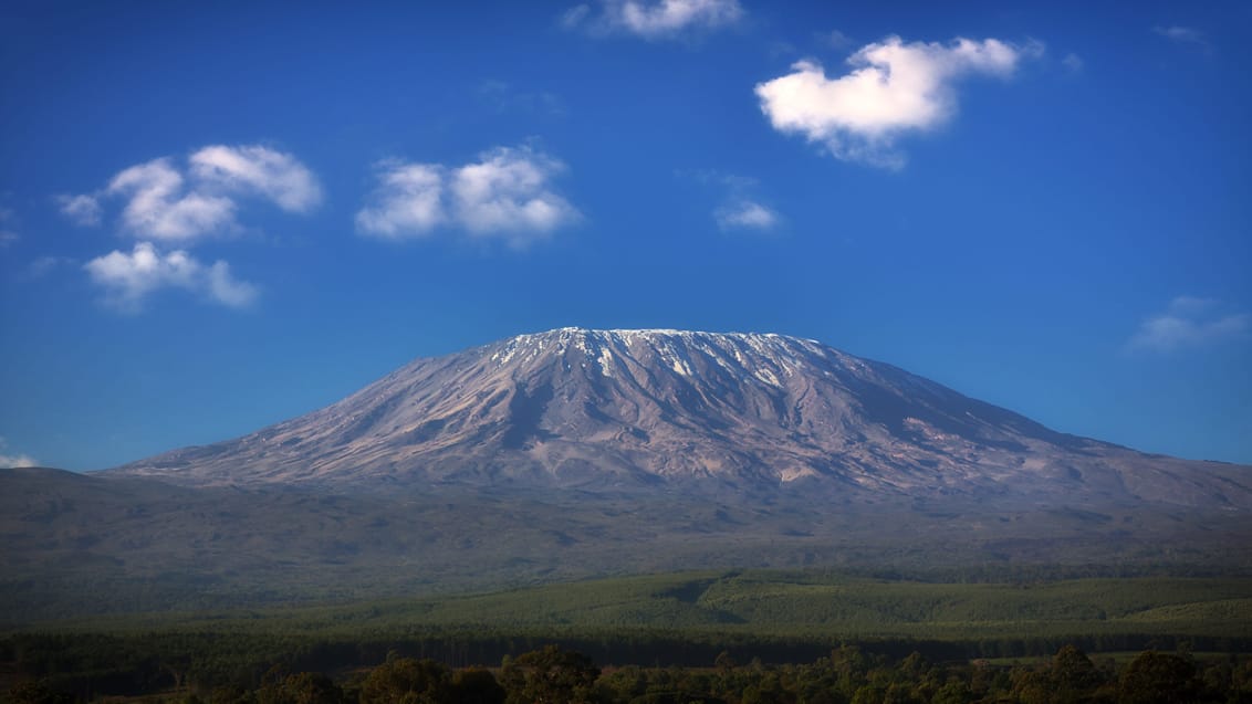 Kilimanjaro Trekking