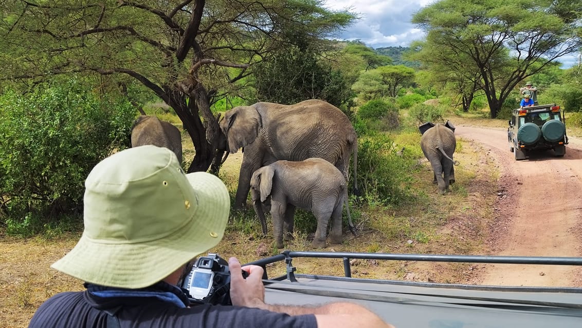 Lake Manyara Nationalpark