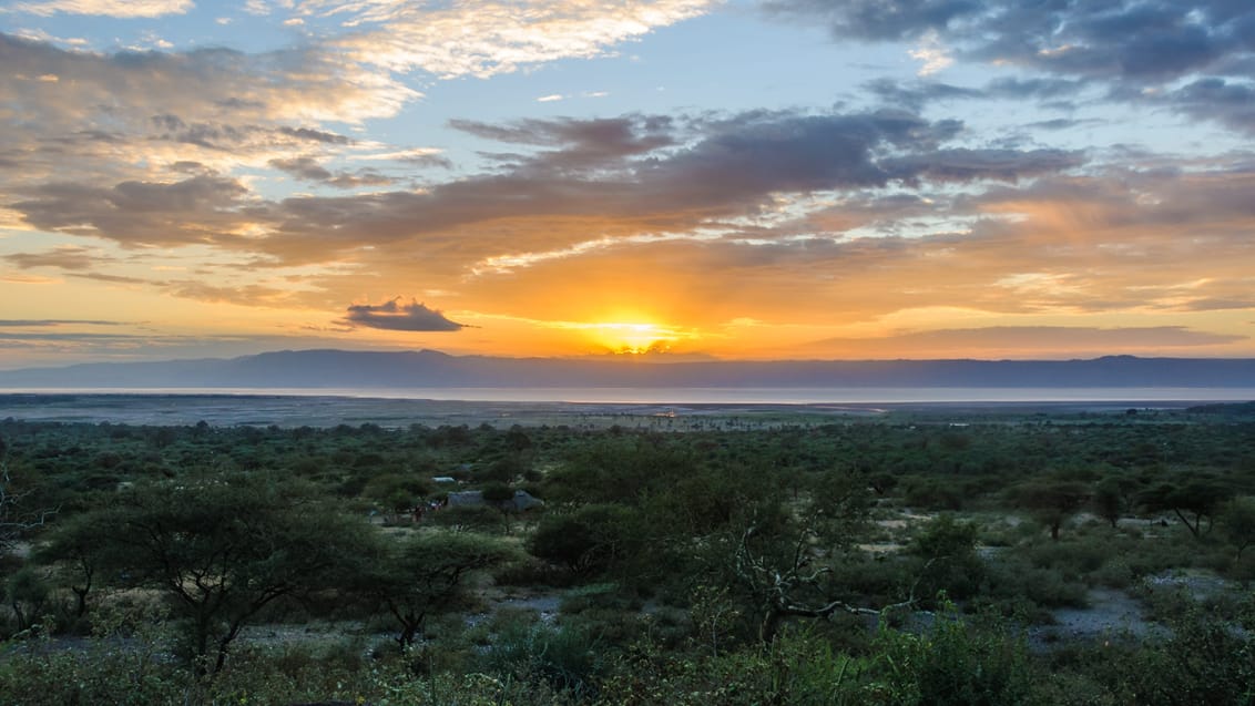 Lake Manyara Nationalpark