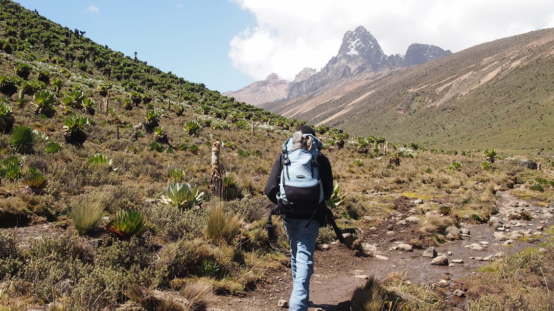 Mt. Kenya