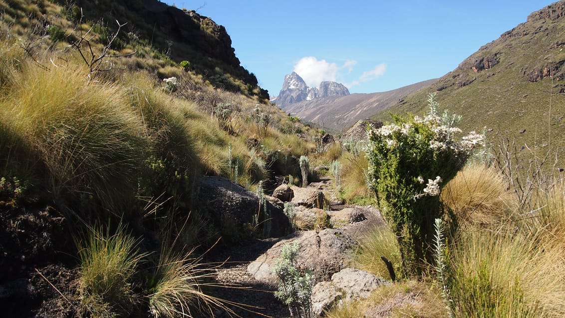 Mt. Kenya