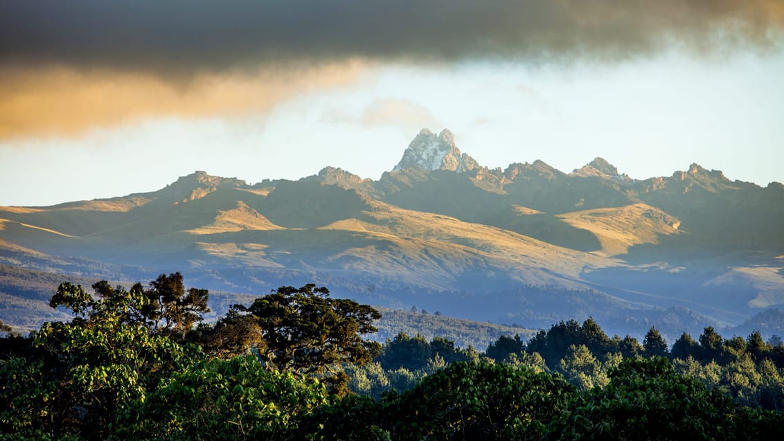 Mt. Kenya