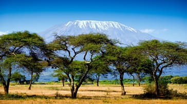 Mt. Kilimanjaro fra afstand