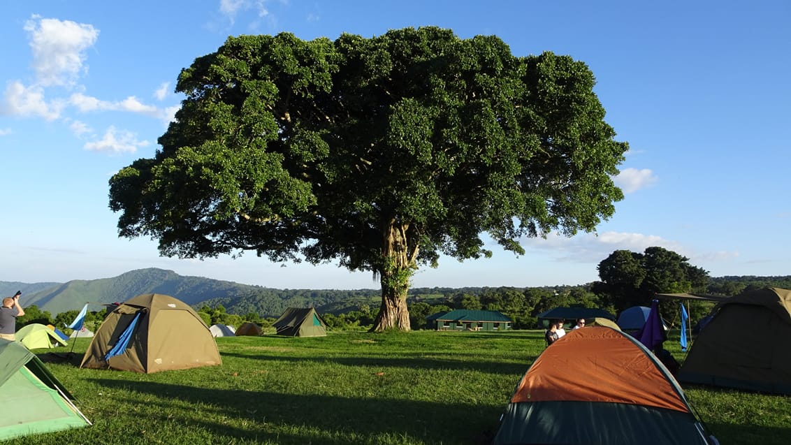 Ngorongoro, Tanzania, Rebecca