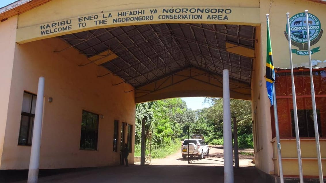 Ngorongoro, Tanzania, Rebecca