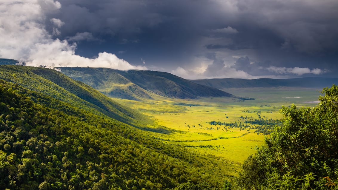 Ngorongoro Conservation