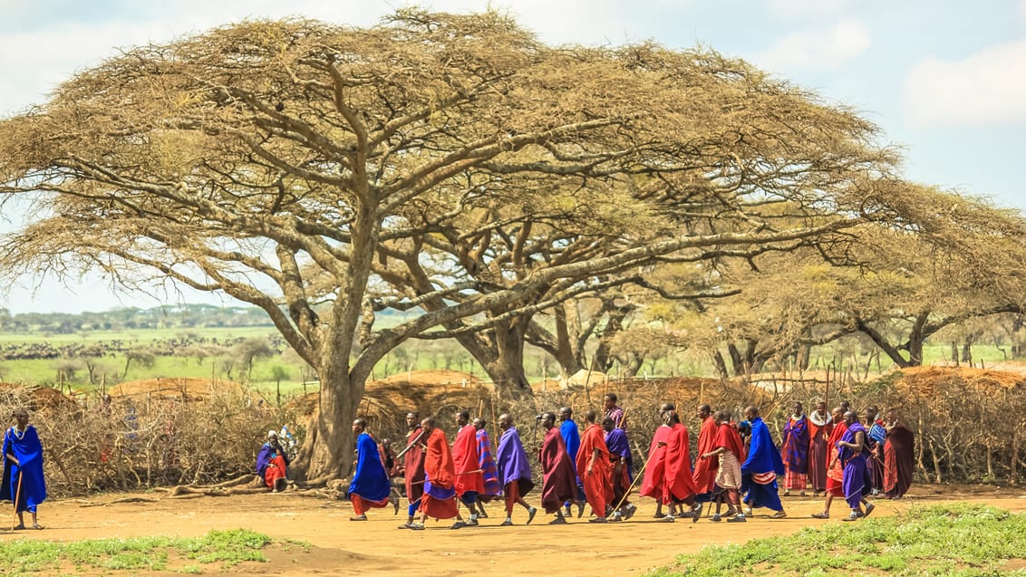 Ngorongoro Conservation