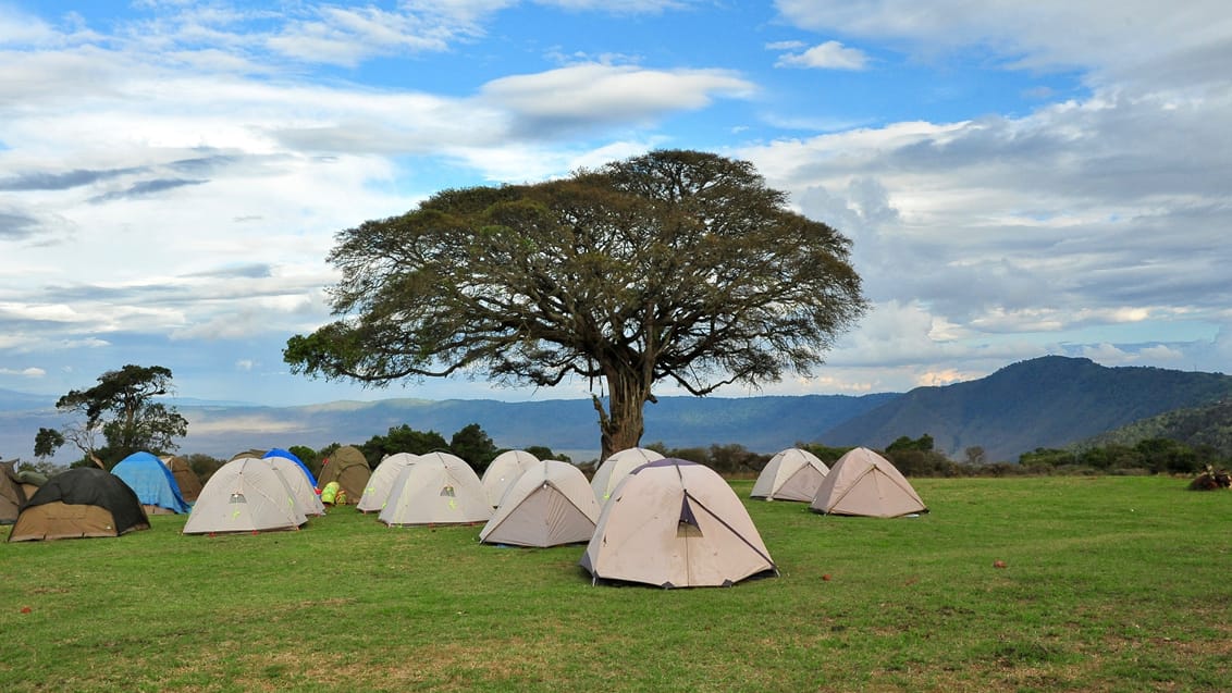 Ngorongoro Conservation