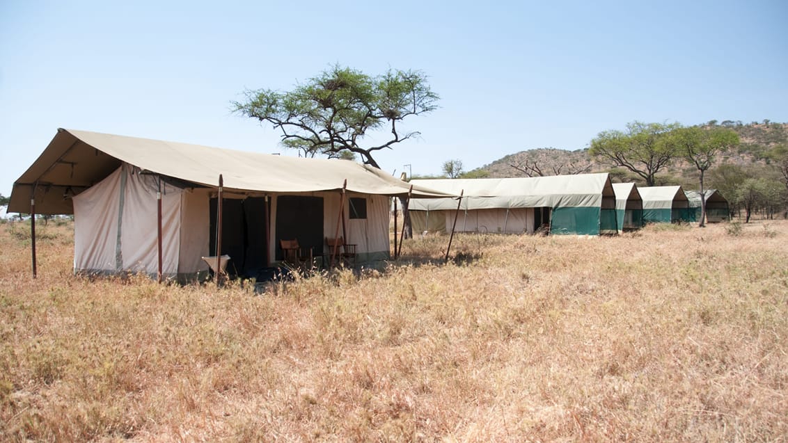 Overnat på Serengeti sletten