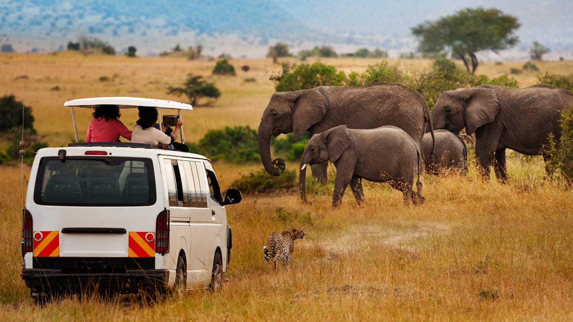 Safari I Masai Mara