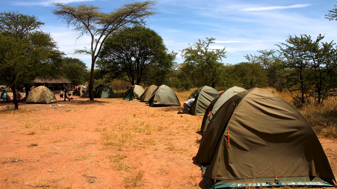 Safari I Serengeti Nationalpark