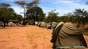 Safari I Serengeti Nationalpark