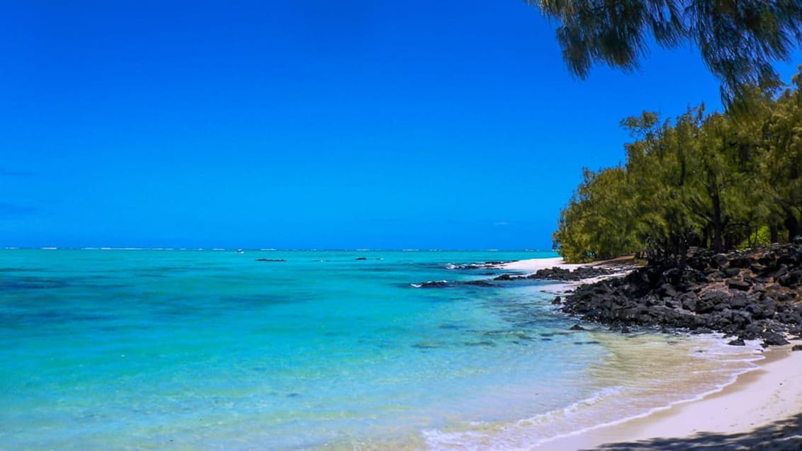 Oplev de skønne steder omkring Ile Aux Cerfs i Mauritius