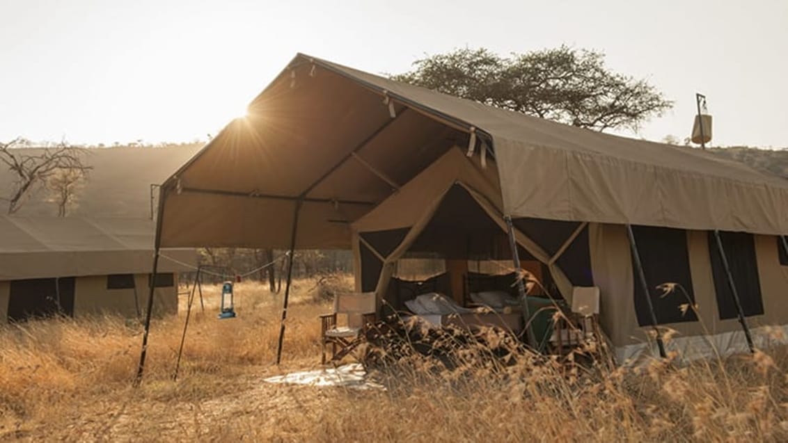 Tented camp safari i Tanzania