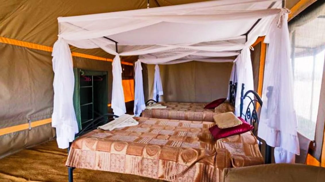 Tented camp safari i Tanzania