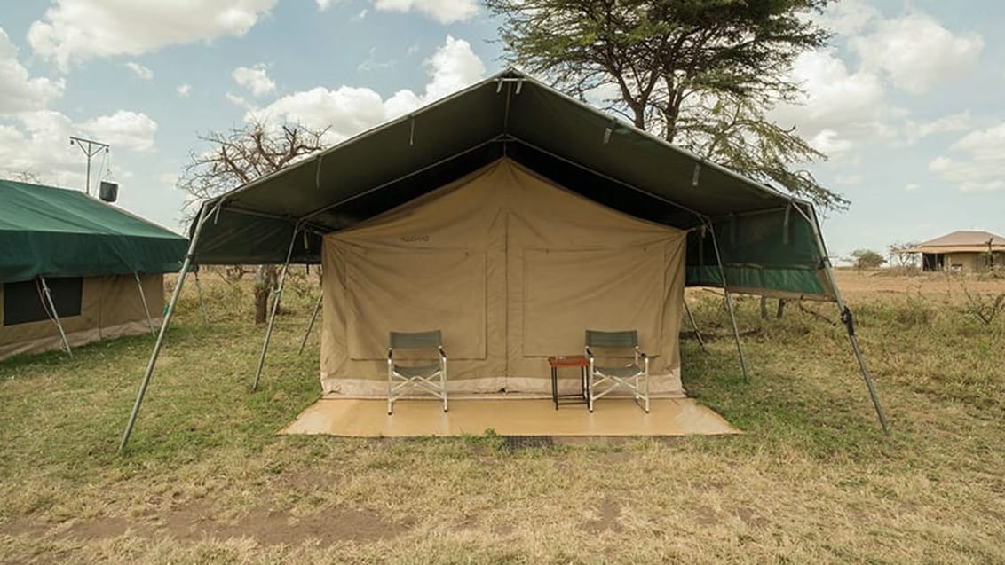 Tented camp safari i Tanzania