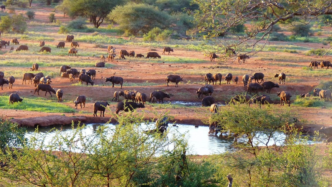 Tsavo West Nationalpark