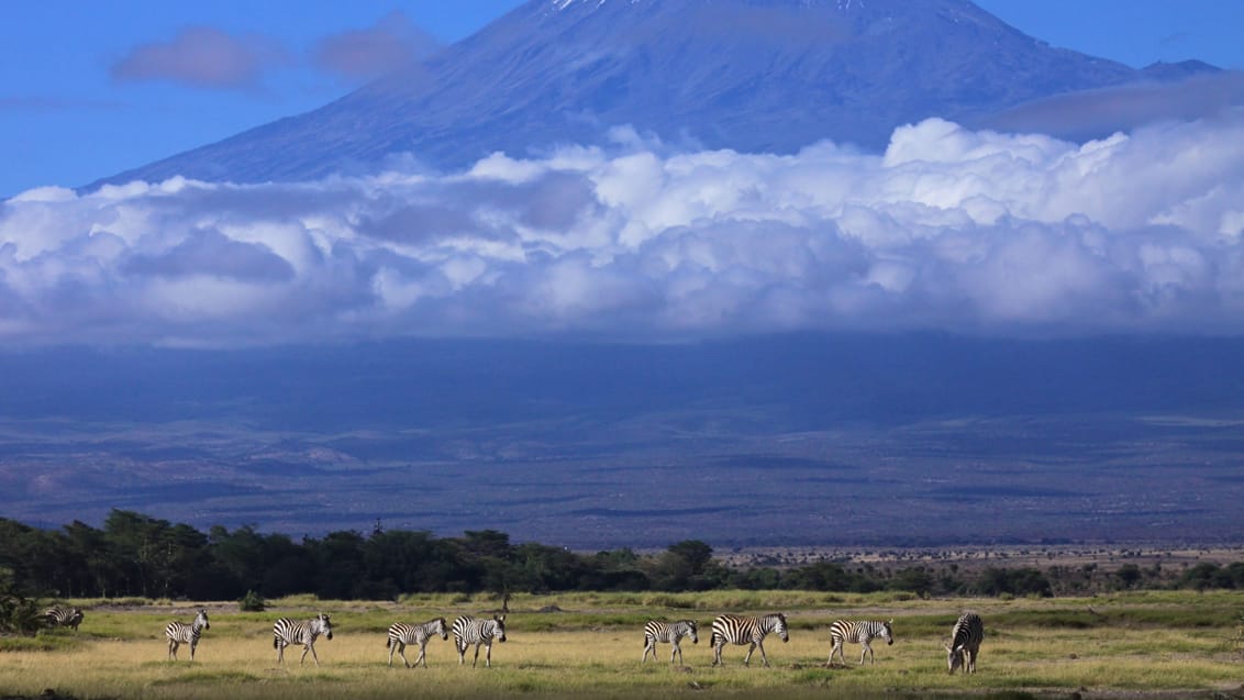 Udsigt til Kilimanjaro fra Amboseli Nationalpark
