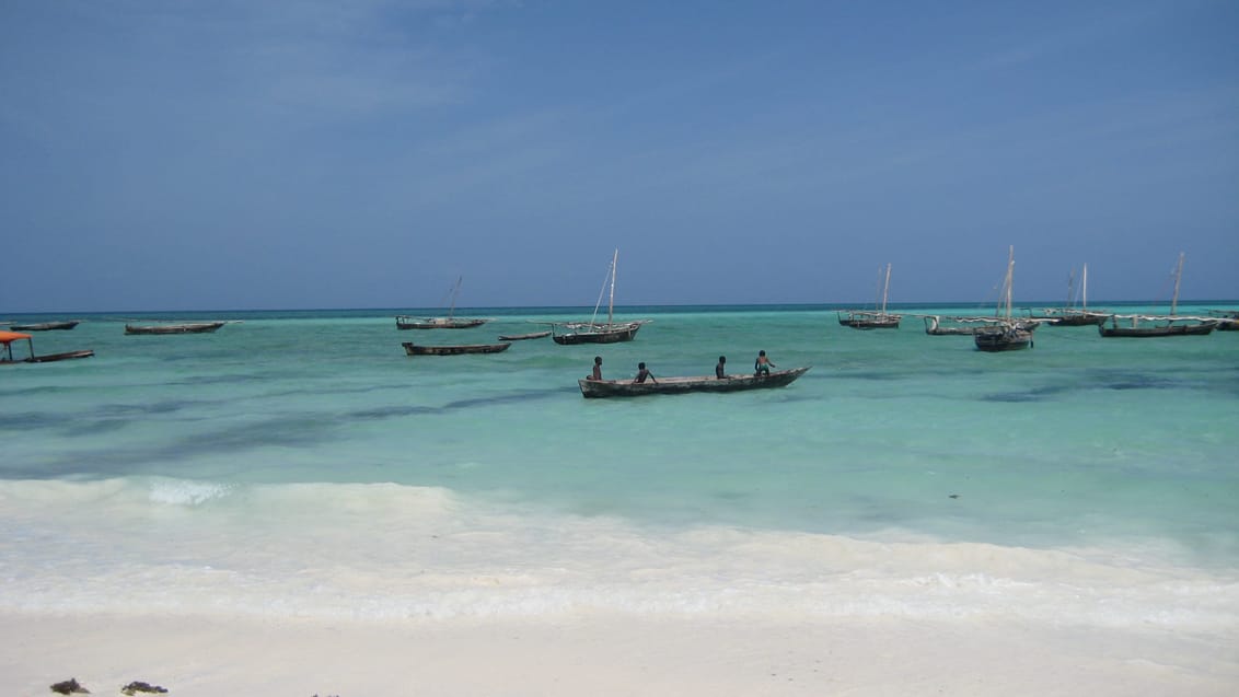 Zanzibar