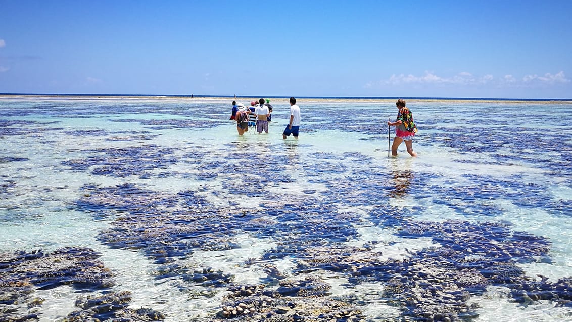 Zanzibar ved lavvande