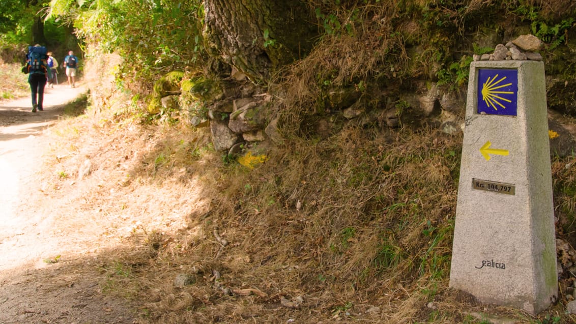 Kort efter Sarria er der kun 104 km tilbage til Santiago de Compostela. Caminoen, Spanien