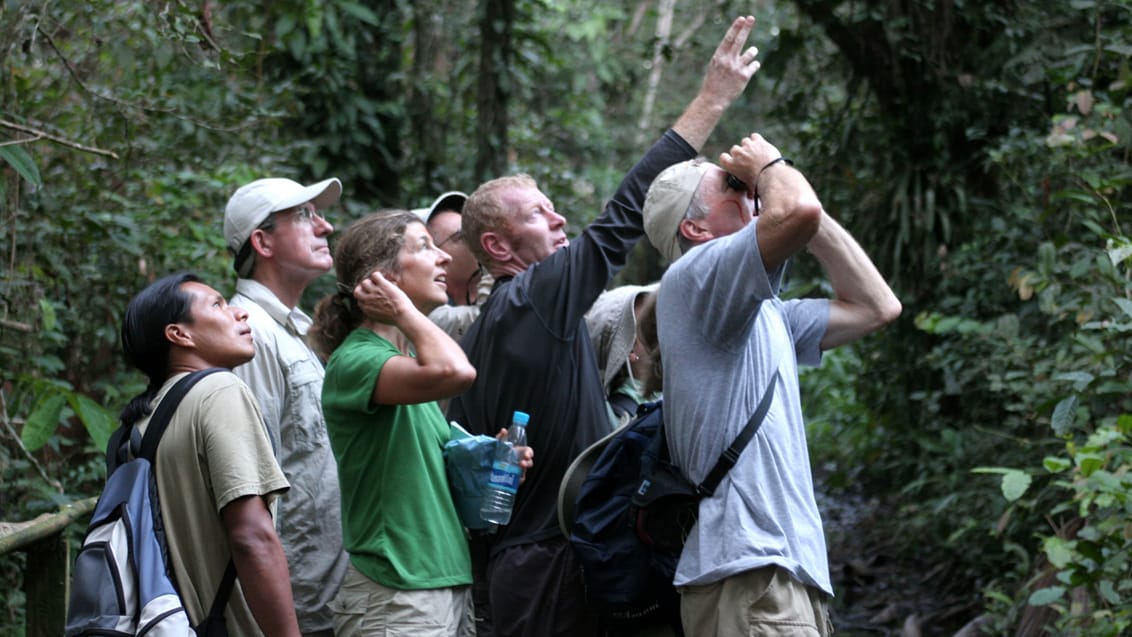 Amazonas, Ecuador