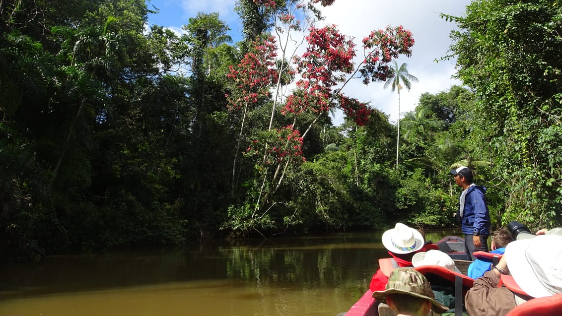 Amazonas, Ecuador