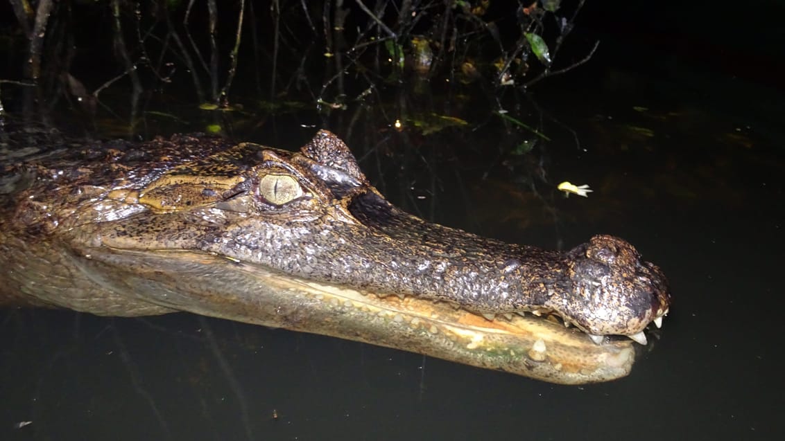 Amazonas, Ecuador