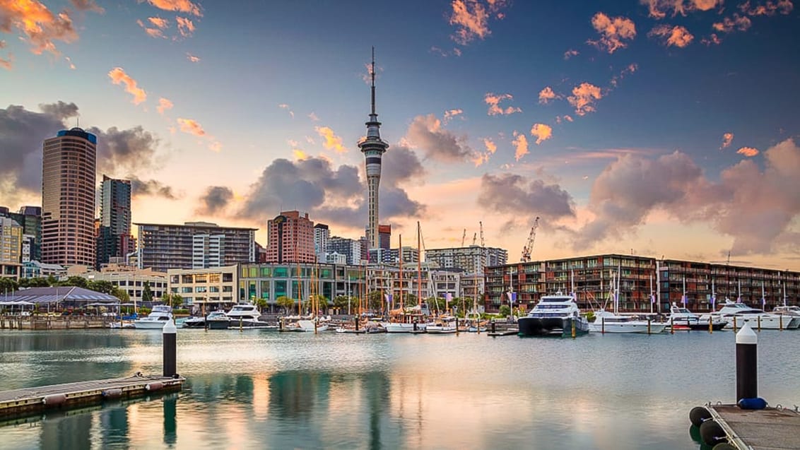 Aucklands hyggelige marina med Sky Tower i baggrunden