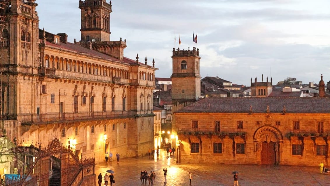 Stemning ved solnedgang på Obradoiro Pladsen. Katedralen i Santiago de Compostela, Galicien, Spanien