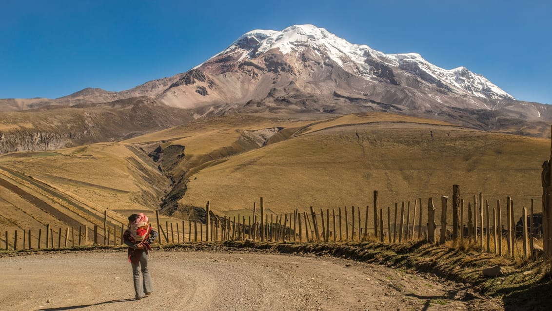 Chimborazo vulkanen, Ecuador