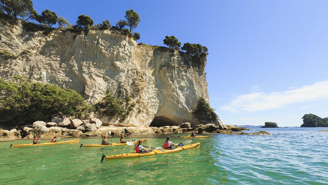 Havkajakker ved Cathedral Cove, Coromandel