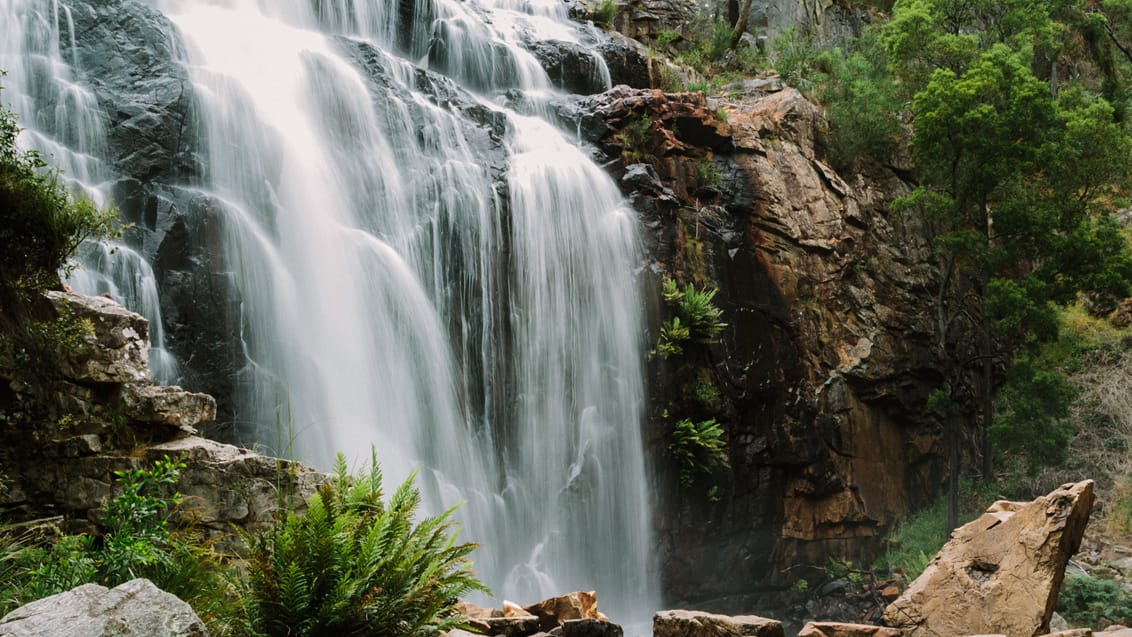 Det smukke MacKenzie Falls i Grampians