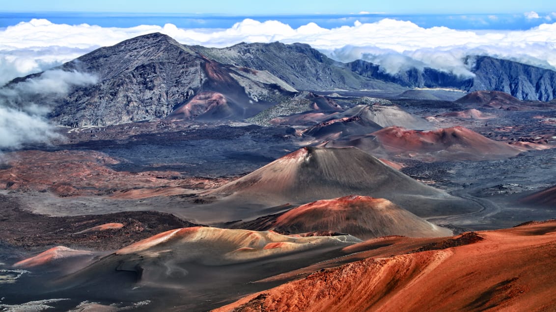 Haleakala National Park, Hawaii, USA