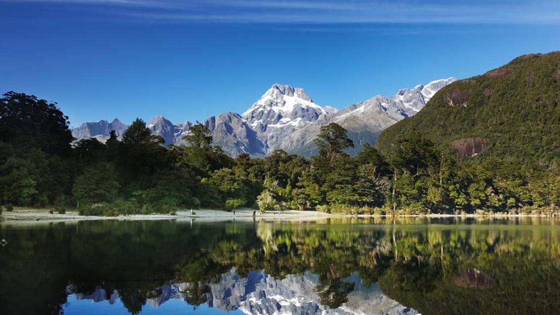 Hollyford Track, Mt Madeline, New Zealand