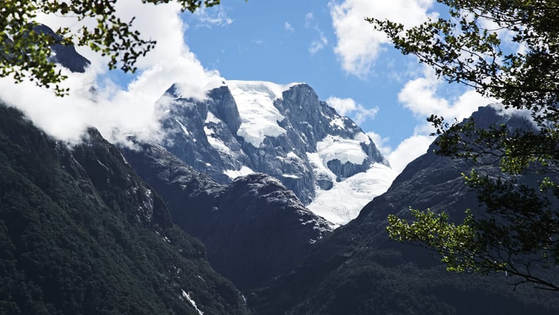 Hollyford Track, Mt. Madeline, New Zealand