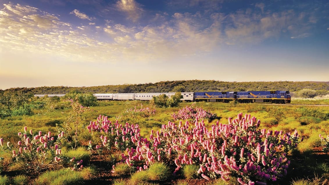 Indian Pacific, fra Sydney til Adelaide og Perth