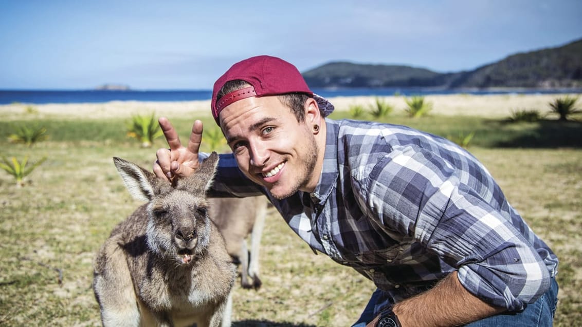 Kænguru, Backpacker, Australien