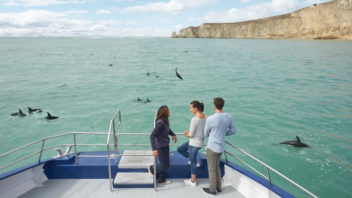 Kaikoura, New Zealand