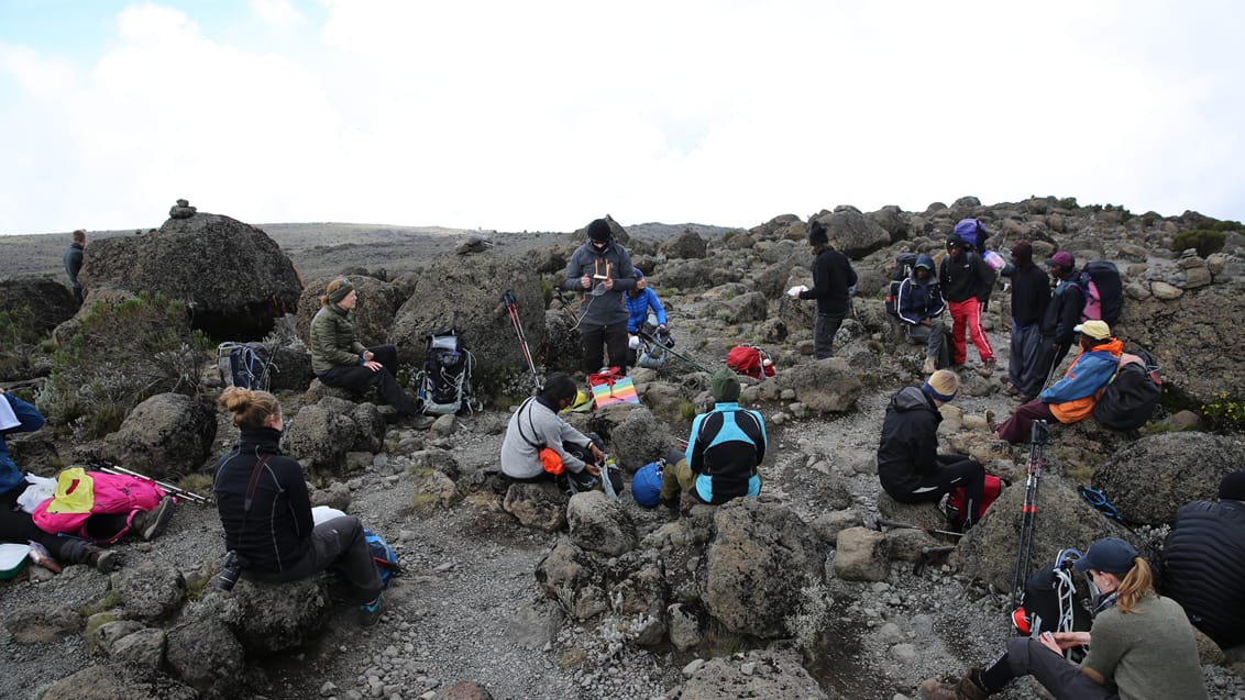 Kilimanjaro selvudvikling