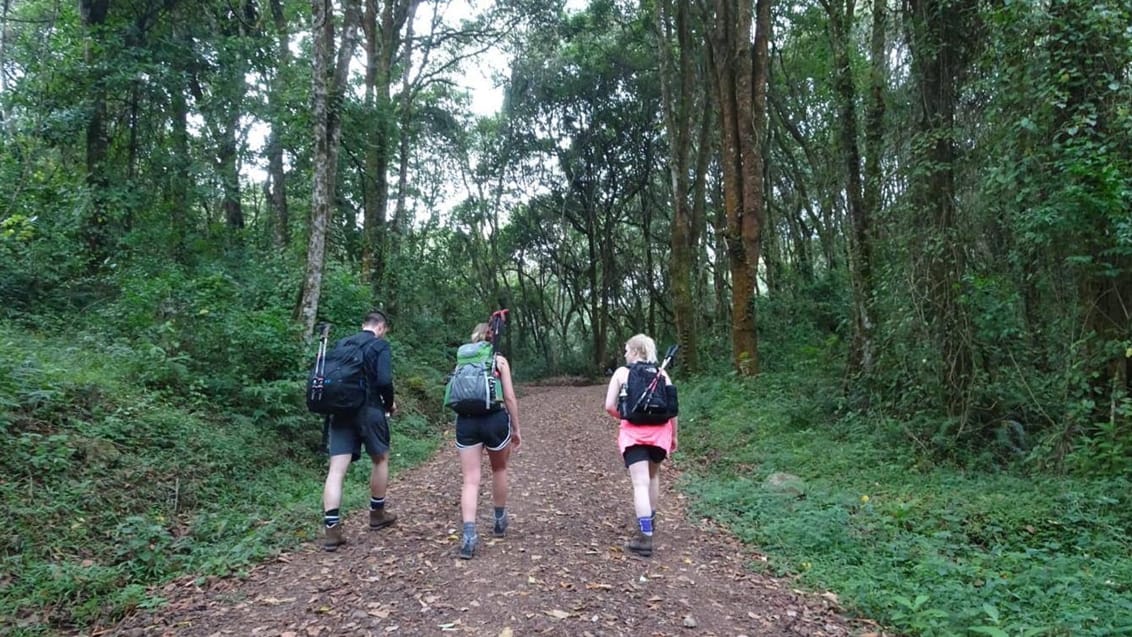 Kilimanjaro, Tanzania, Rebecca