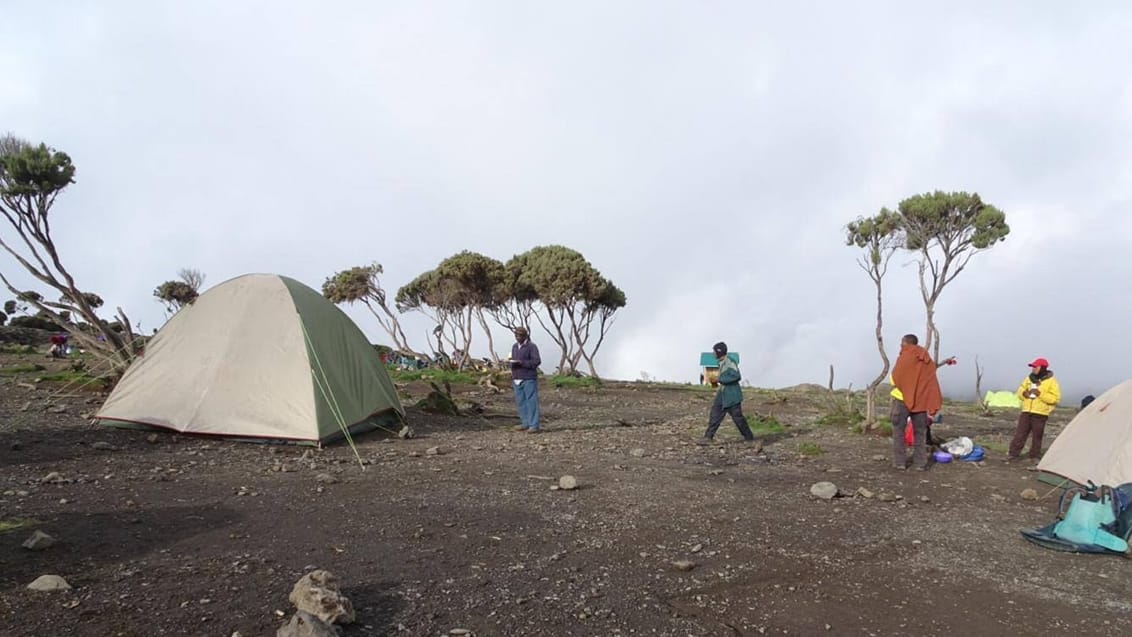 Kilimanjaro, Tanzania, Rebecca