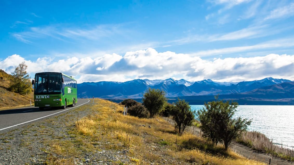 Med et buspas har du flexibilitet og du kan nemt komme rundt i New Zealand