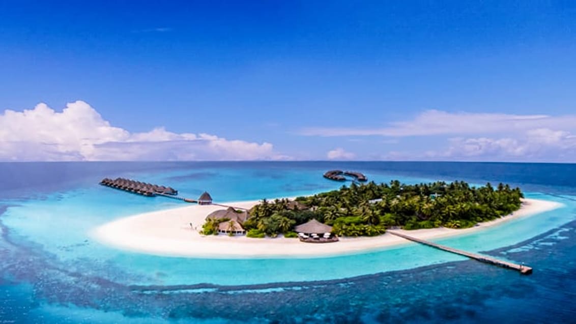 Angaga Resort udgør rammerne om din bounty-ferie på Maldiverne. Resortet ligger i Ari-atollen, og øen er det oplagte valg med sine kridhvide brede strande og med et fantastisk koralrev