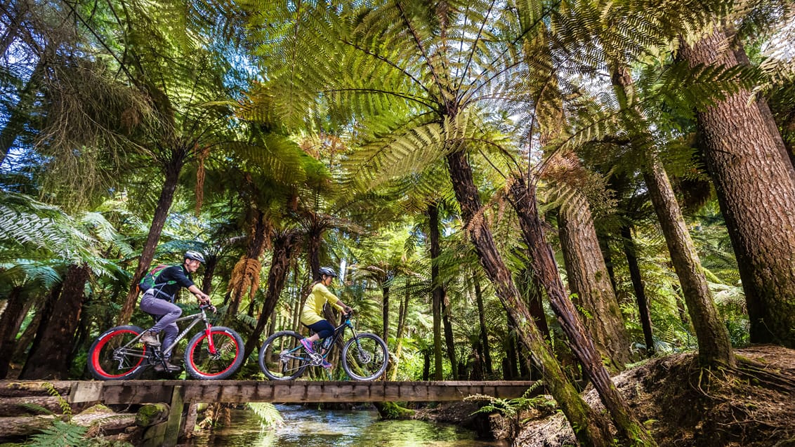 Mountainbiking i Whakarewarewa Forest ved Rotorua