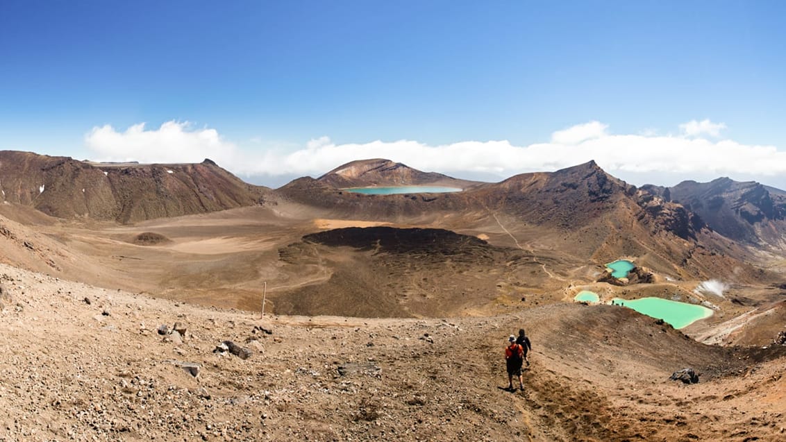 New Zealand byder på masser af fantastiske vandreruter. Et must-do er Tongariro National Park